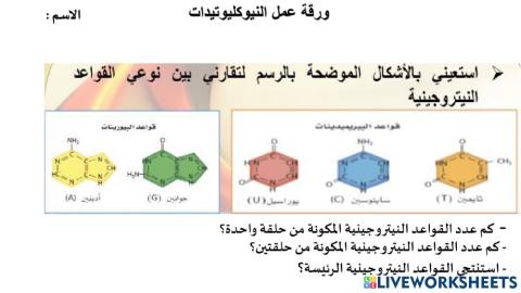 القواعد النيتروجينية