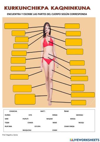 Partes del cuerpo en quechua