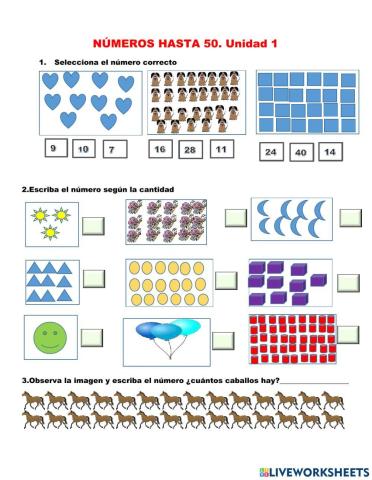 Números hasta 50