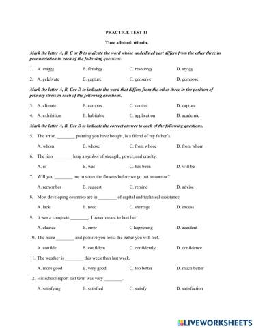Practice Test 11