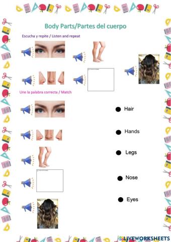 Partes del cuerpo