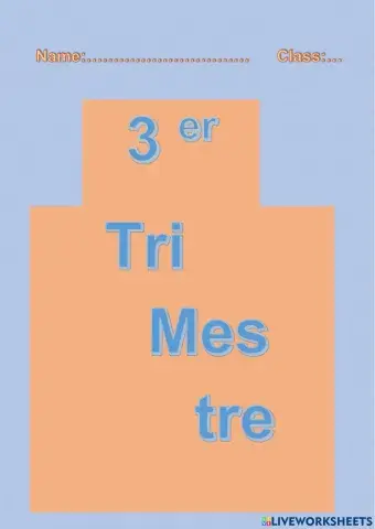 Separador trimestres