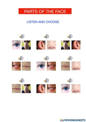 Parts of the face