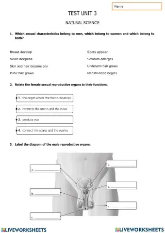 Human's reproduction