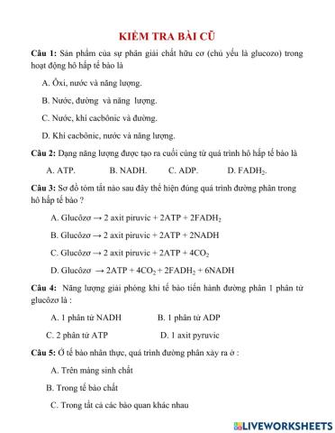 Bài 17.sinh 10. quang hop