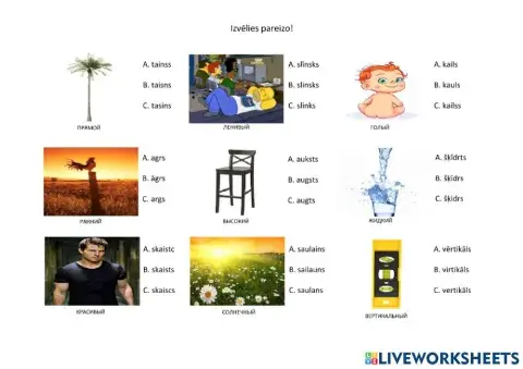 Īpašības vārdu pareizrakstības treniņš 3. daļa