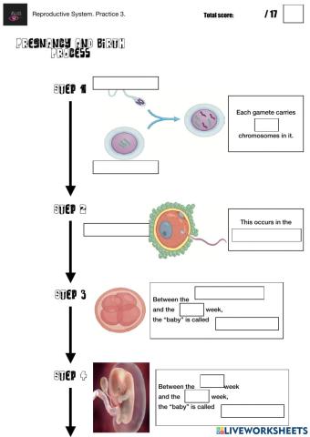 Reproductive System. Practice 3.