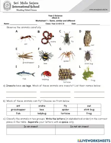 Living things: Same, alike and different