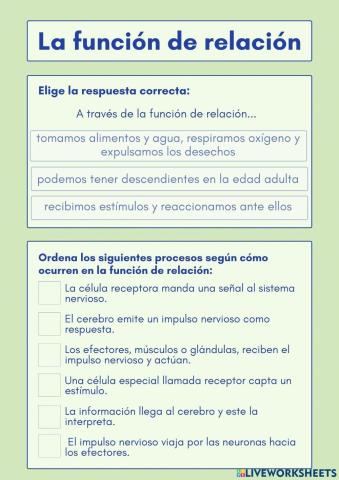 La función de relación