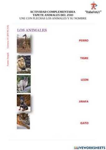 Animales del zoo