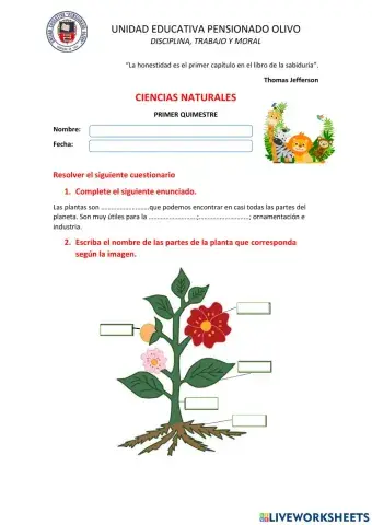 Los animales y las plantas