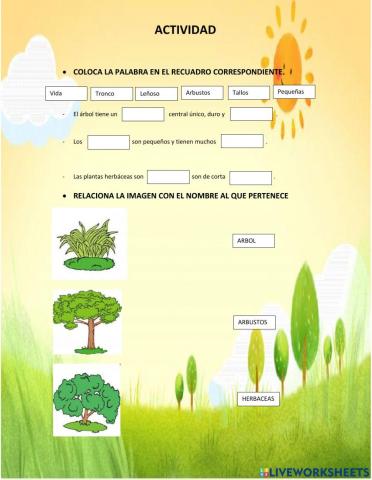 Plantas segun su tamaño