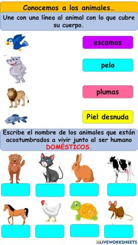 Conocemos a los animales