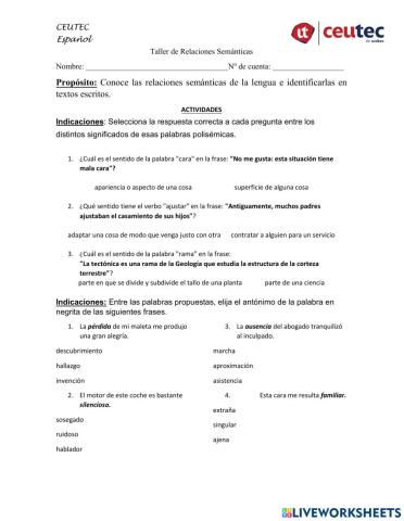 Taller de relaciones semánticas