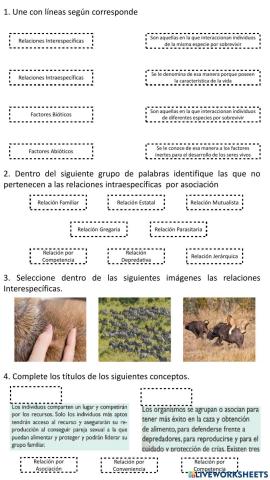 Taller Relaciones Interespecíficas, Intraespecíficas y Ecosistema