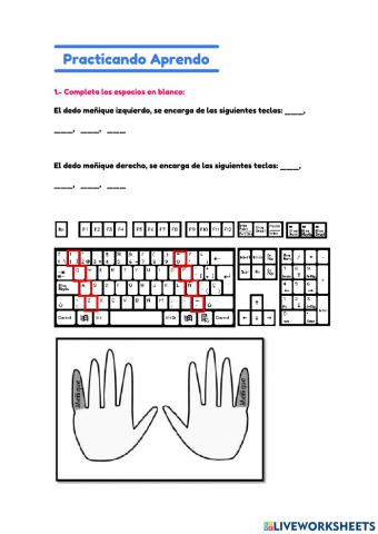 Partes del teclado