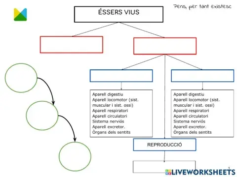Esquema Éssers vius