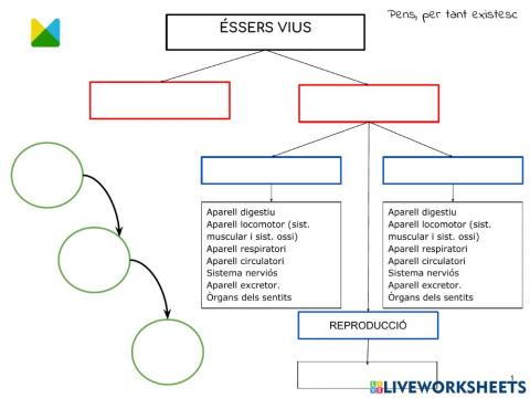 Esquema Éssers vius