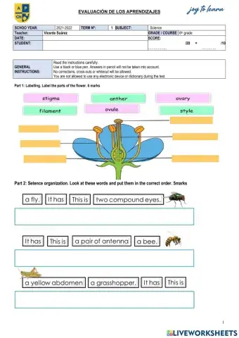 SCHOO YEAR:	2021-2022	TERM Nº:	   1	SUBJECT:	  Science  Teacher:	Vicente Suárez 	GRADE - COURSE	 6th grade DATE:		SCORE: STUDENT:		 ……………..	-20	-	 ………….
