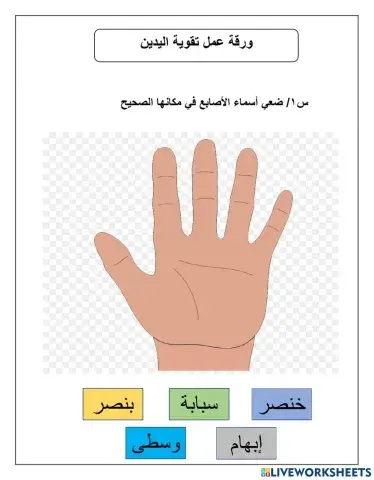 ورقة عمل تقوية اليدين