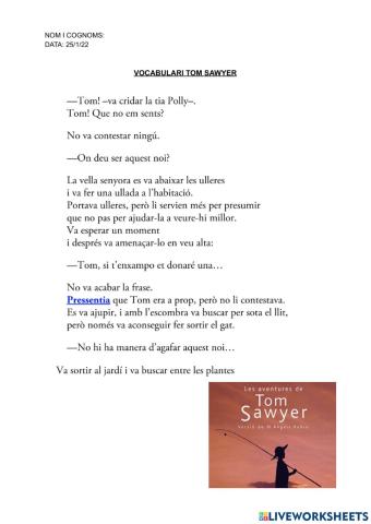 Comprensió lectora tom sawyer