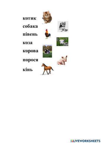 Свійські тварини