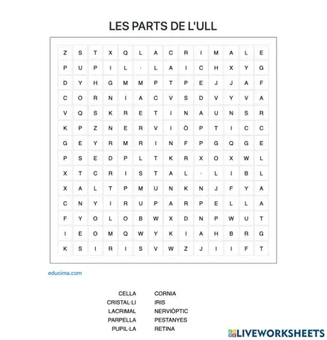Les parts de l'ull. Sopa de lletres