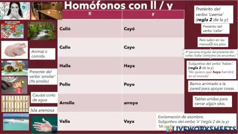 Homofonos ll y