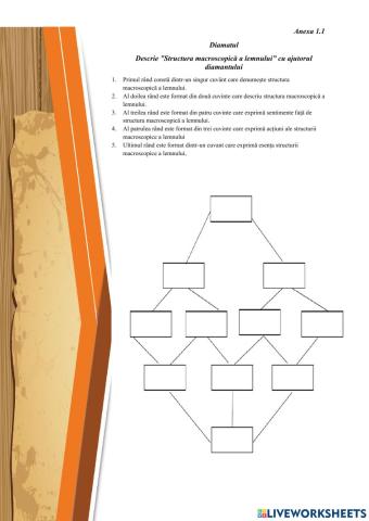 Structura macroscopică a lemnului