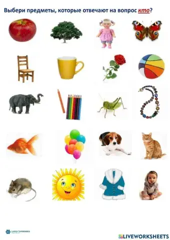 Слова, отвечающие на вопрос кто? что?