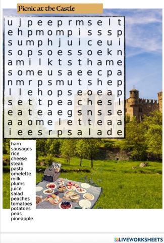 Picnic at the Castle
