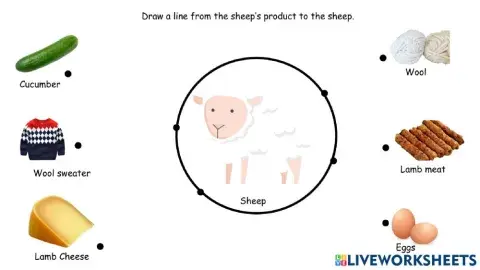 Sheep products