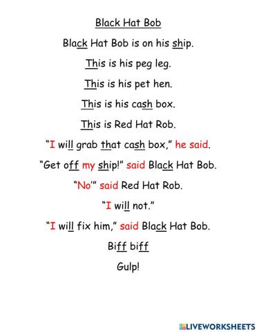 Black Hat Bob Activity 2