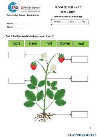 CPS1-Check progress test-U2