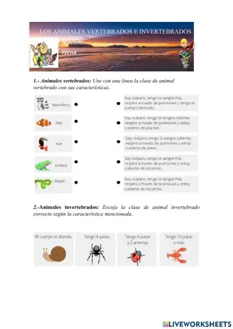 Animales vertebrados e invertebrados