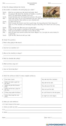 Man and Animals: Cheetahs