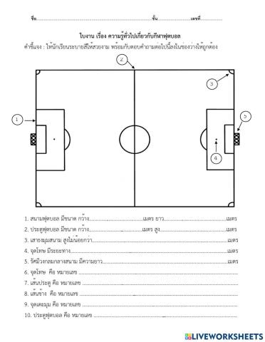 กีฬาฟุตบอล