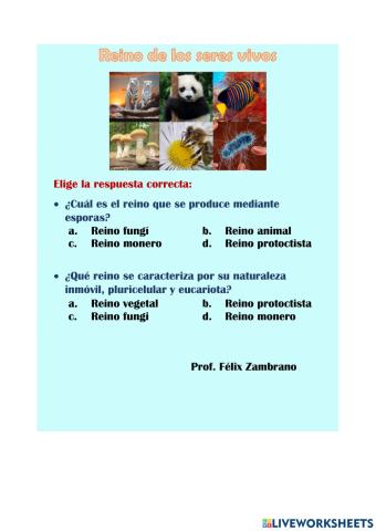 Reino de los seres vivos