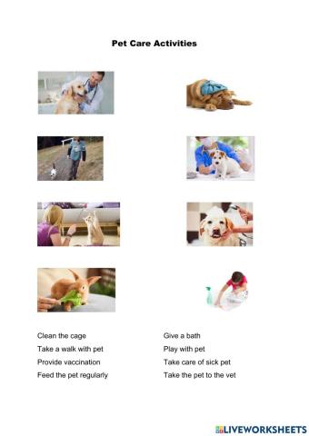 Pet Care Activities