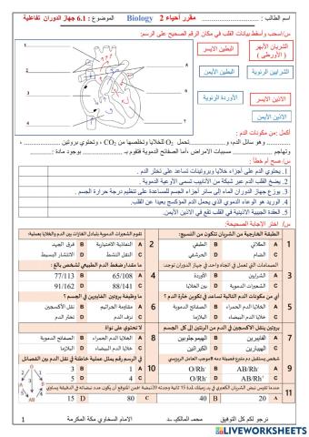 جهاز الدوران
