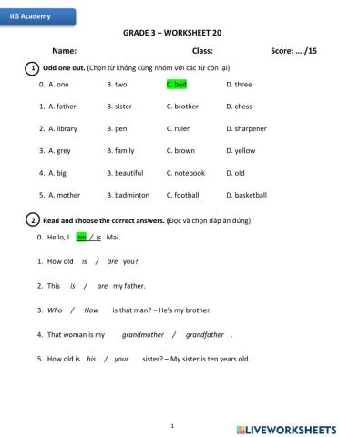 IIG-Grade 3-Worksheet 20