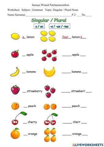 Singular - Plural Noun