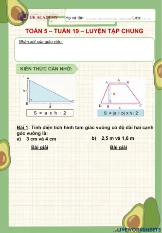 Toán 5 - Luyện tập chung - Trang 95