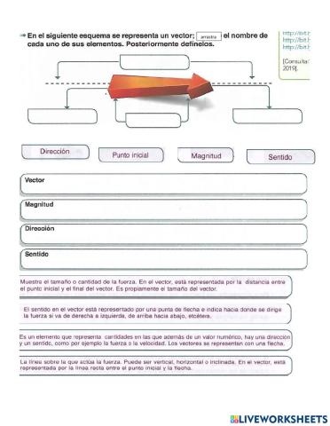 Elementos de un vector