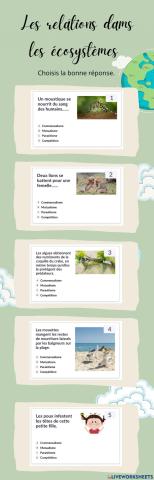 Les relations dans les ecosystèmes