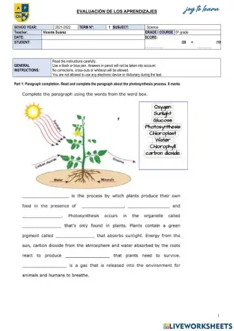 SCHOO YEAR:	2021-2022	TERM Nº:	   1	SUBJECT:	  Science  Teacher:	Vicente Suárez 	GRADE - COURSE	 5th grade DATE:		SCORE: STUDENT:		 ……………..	-28	-	 ………….	-10