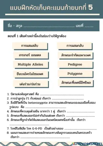 เเบบฝึกหัดบทที่ 5