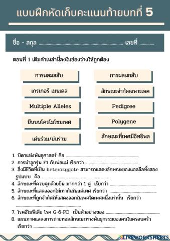 เเบบฝึกหัดบทที่ 5