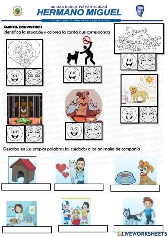 Experiencia mimascota