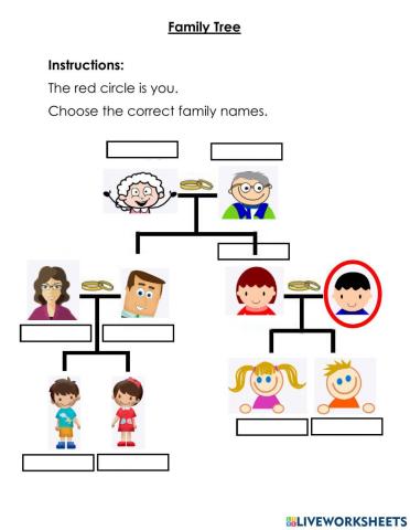 Family Tree - 11